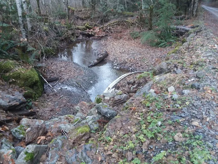 Chocwich Campground Picture 9