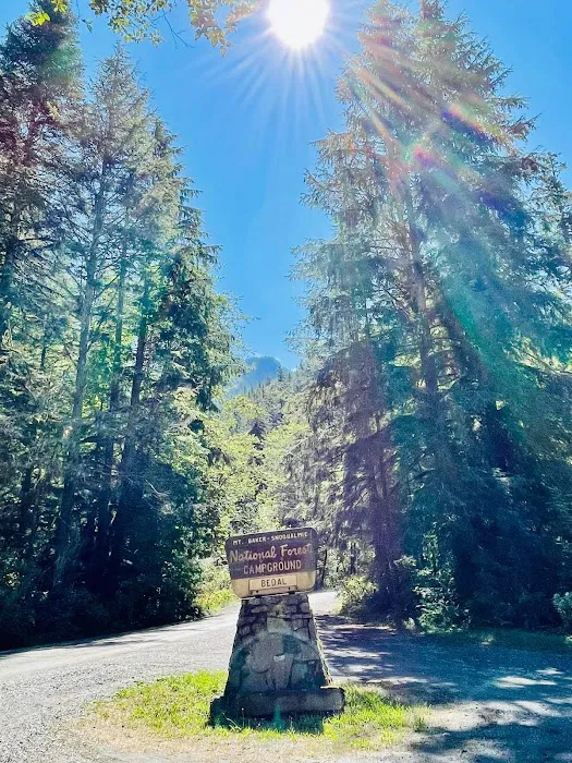 Bedal Campground Picture 2