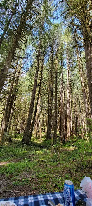 Deer Creek Campground Picture 1