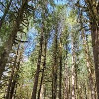 Deer Creek Campground ico