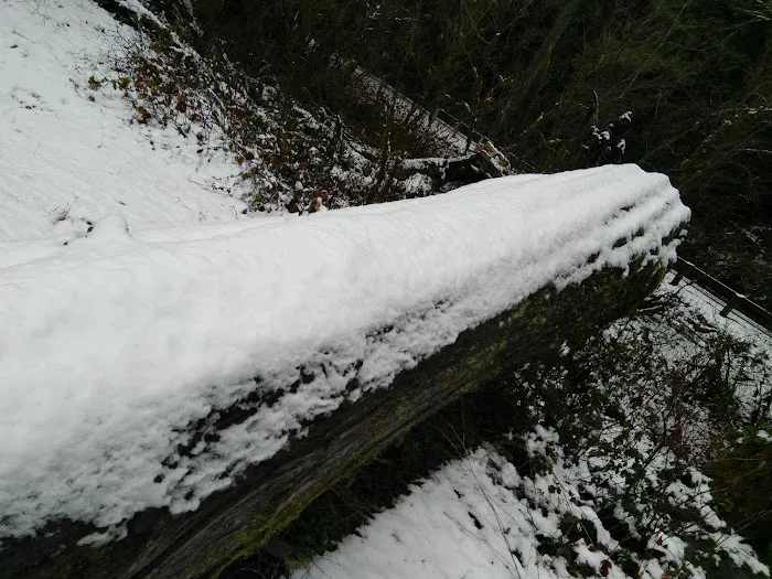 Dick Sperry Campground Picture 6