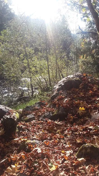 Dick Sperry Campground Picture 5
