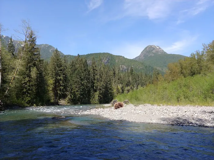 Tulalip Mill Site Group Campground Picture 3