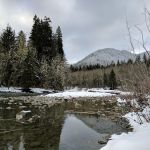 Tulalip Mill Site Group Campground