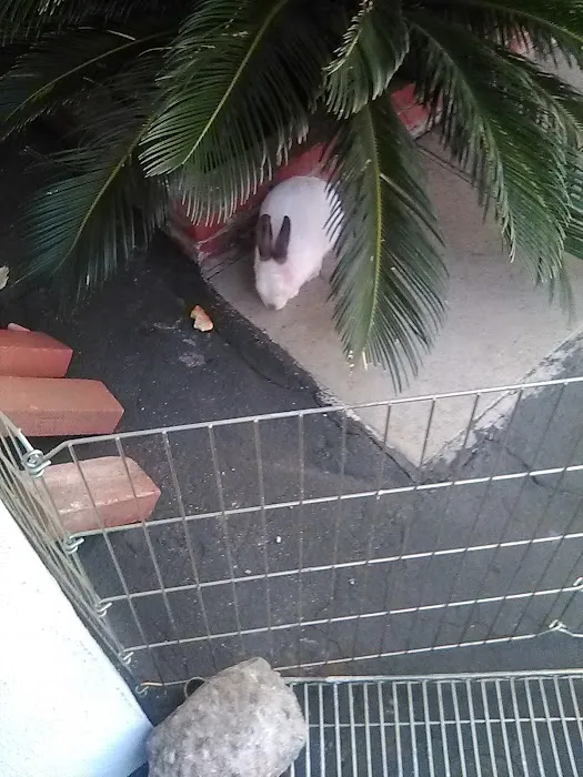 Tropic Parks LLC Picture 2