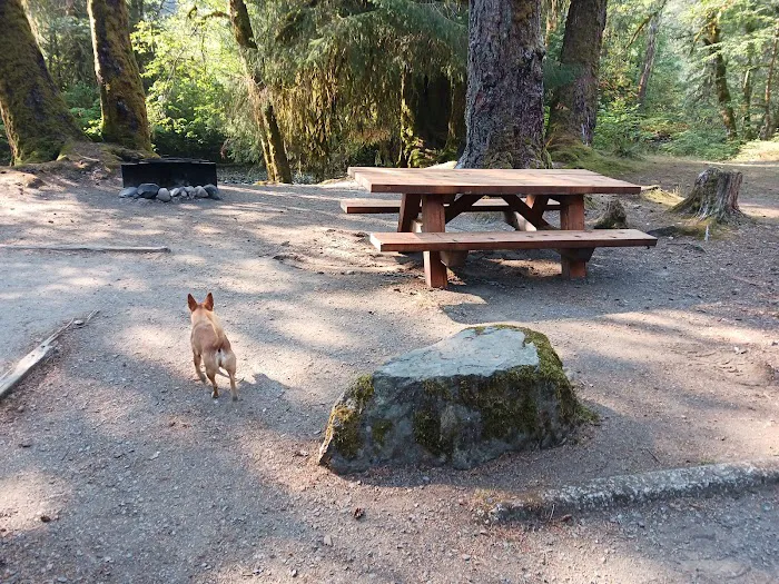 Red Bridge Campground Picture 3