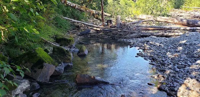 Boardman Creek Group Campground Picture 3
