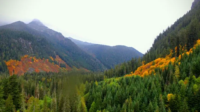 Boardman Creek Group Campground Picture 6