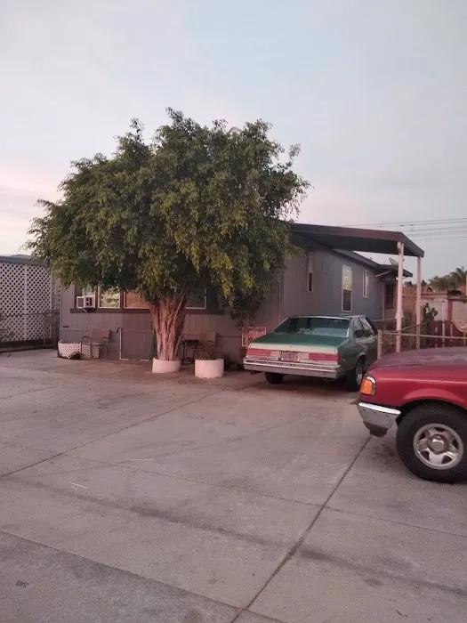 South Bay Mobile Park Picture 3