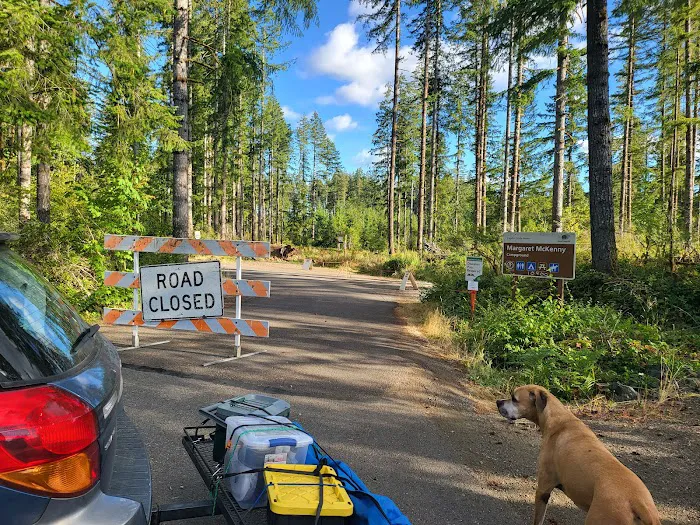 Margaret McKenny Campground Picture 6