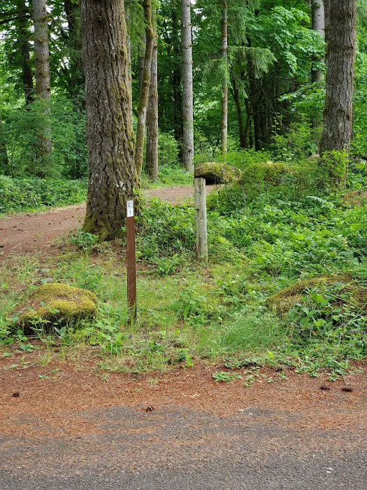 Margaret McKenny Campground Picture 5