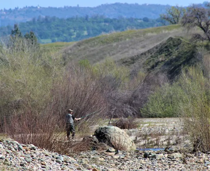 Sycamore Ranch Picture 4
