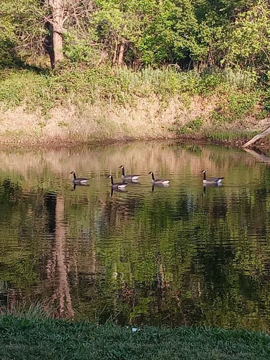 Sycamore Ranch Picture 7
