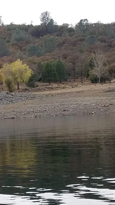 Pineland Development Co Picture 7