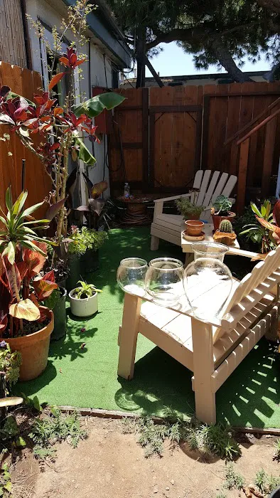 Imperial Trailer Park Picture 3