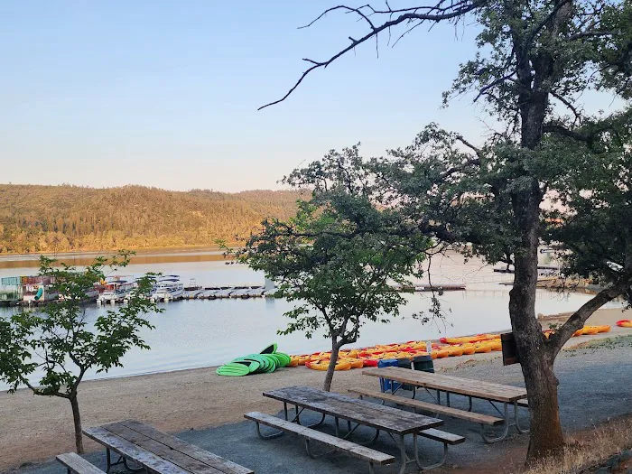 Collins Lake Picture 7