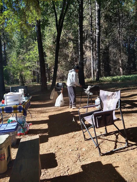 Orchard Springs Campground Picture 3