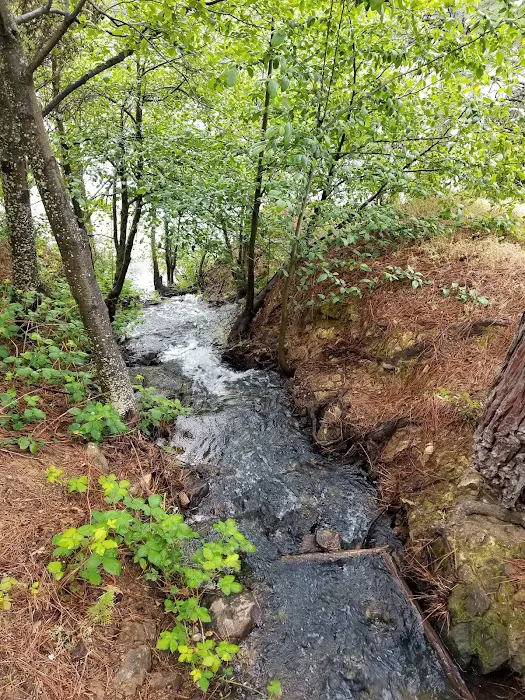 Orchard Springs Campground Picture 4