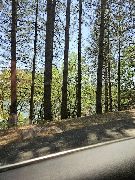 Orchard Springs Campground Picture 5