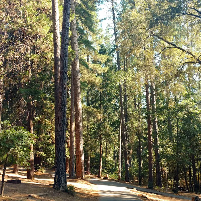 Orchard Springs Campground Picture 6