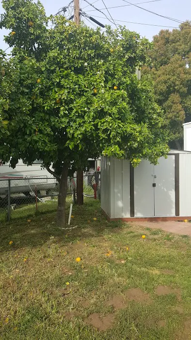 El Capitan Mobile Home Park Picture 4