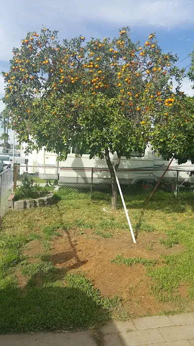 El Capitan Mobile Home Park Picture 6