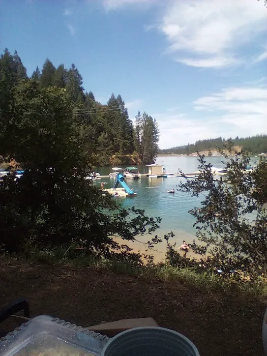 Long Ravine Campground Picture 4