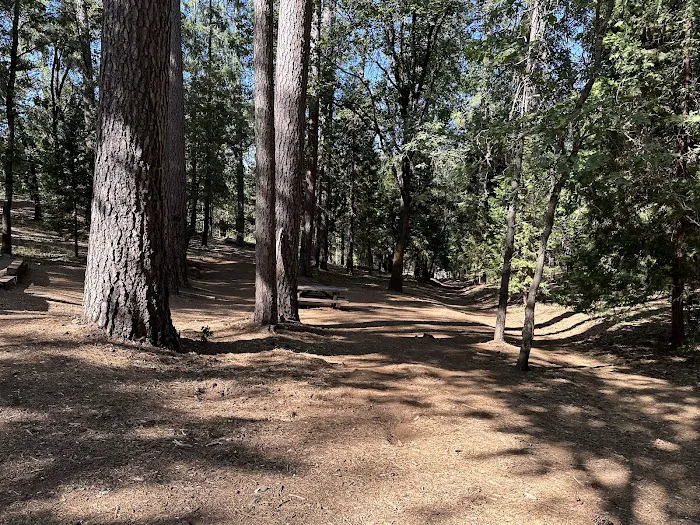 Long Ravine Campground Picture 5