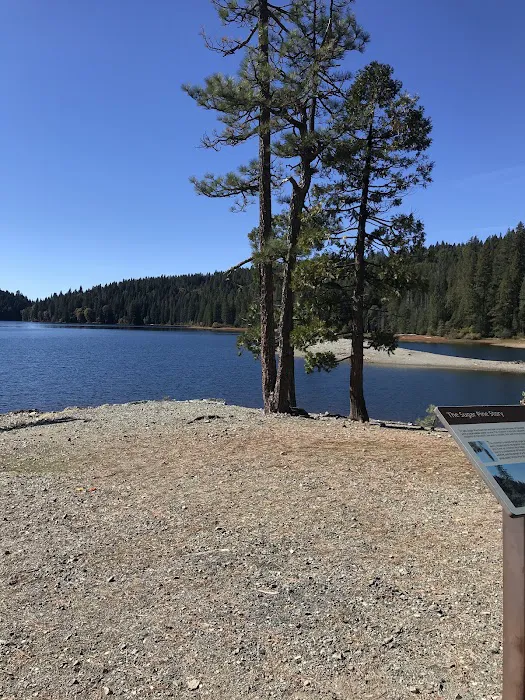 FORBES CREEK Picture 2
