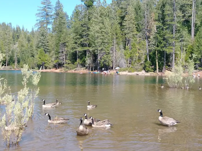 FORBES CREEK Picture 3