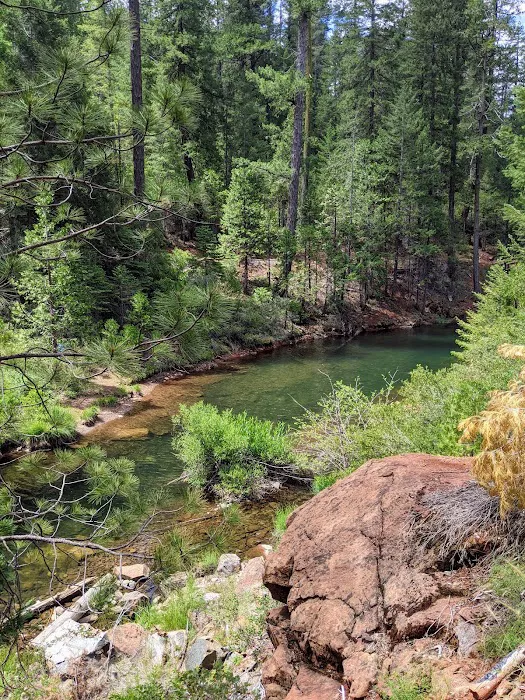 FORBES CREEK Picture 4
