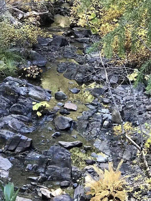 FORBES CREEK Picture 6