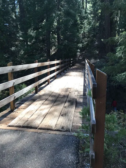 FORBES CREEK Picture 5