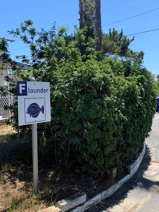 EZ Living Mobile Home Park Picture 1