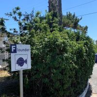 EZ Living Mobile Home Park ico