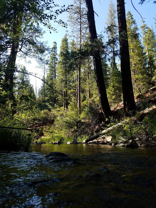 Manzanita Day Use Area Picture 3