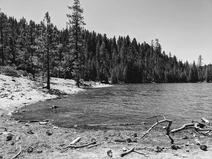 Manzanita Day Use Area Picture 9