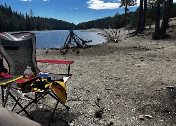 Shirttail Creek Family Campground Picture 1