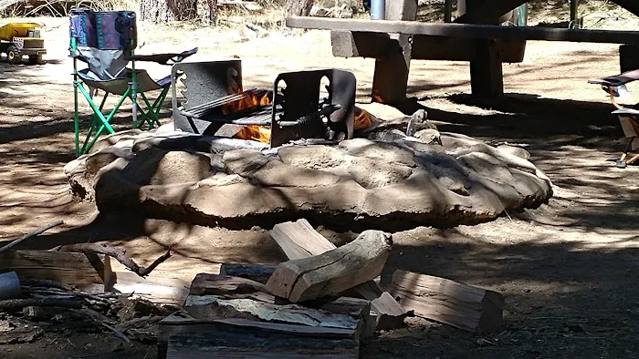 Shirttail Creek Family Campground Picture 2