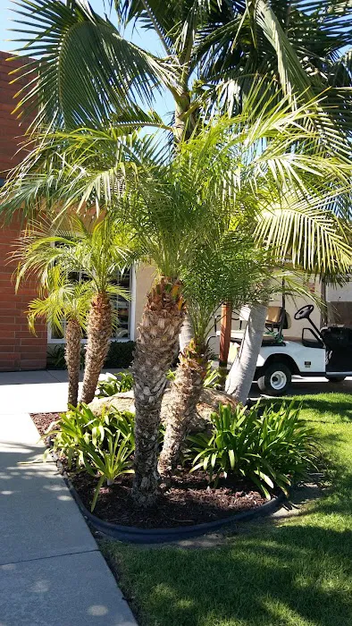 San Marcos View Estates Picture 8