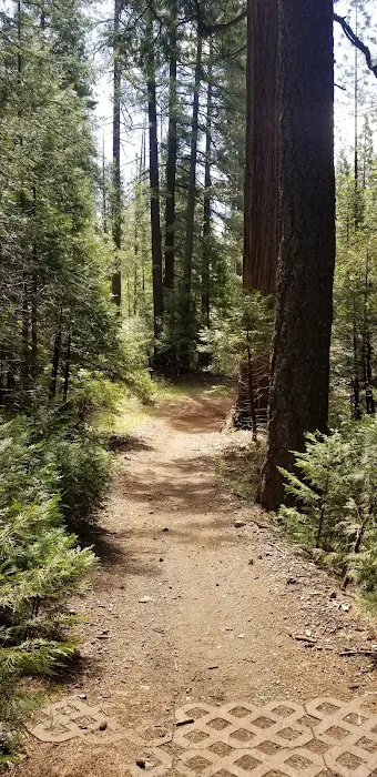 Foresthill, Sugar Pine Staging Area Picture 1