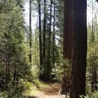 Foresthill, Sugar Pine Staging Area ico