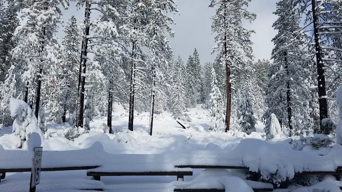 Foresthill, Sugar Pine Staging Area Picture 6