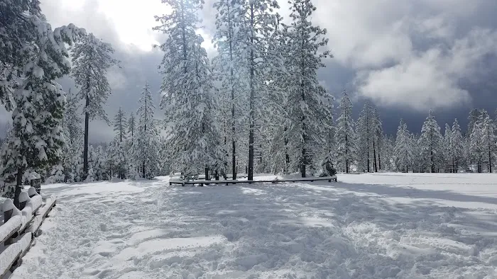 Foresthill, Sugar Pine Staging Area Picture 8