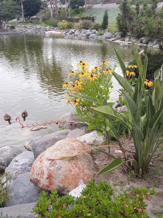 Rancho Calevero Mobile Home Park Picture 1