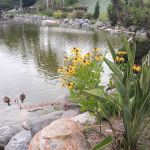 Rancho Calevero Mobile Home Park
