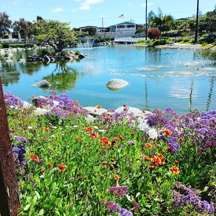 Rancho Calevero Mobile Home Park Picture 5