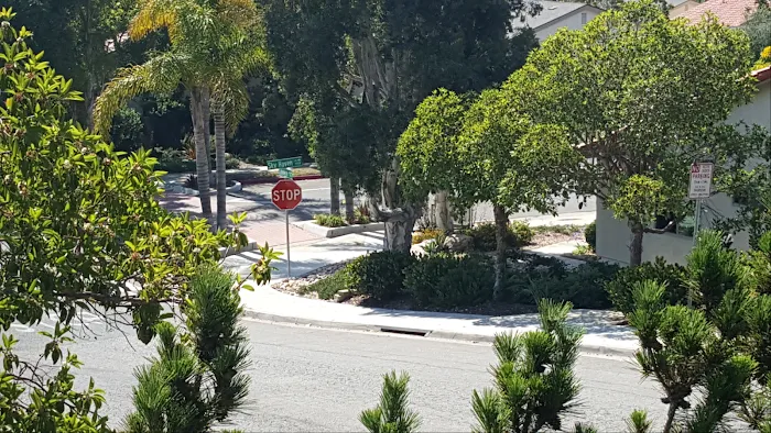 Rancho Calevero Mobile Home Park Picture 8