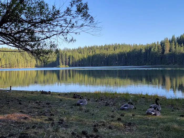 Big Reservoir Campground Picture 2