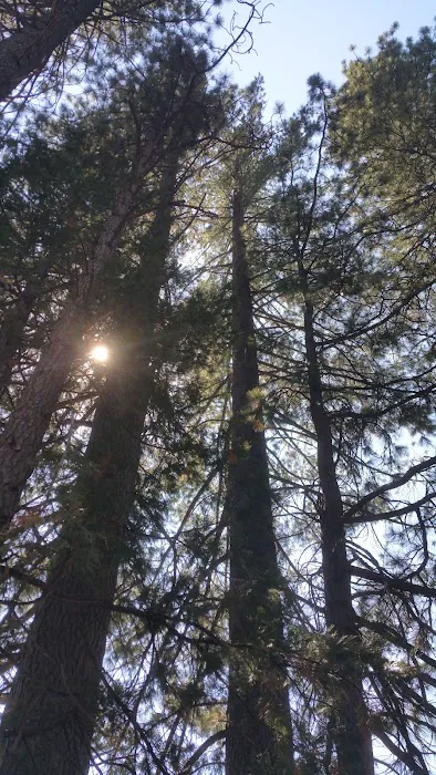 Big Reservoir Campground Picture 5